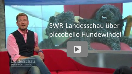 Die SWR-Landesschau berichtet am 19.07.2016 über piccobello Hundewindel.