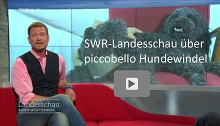 Video Beitrag über piccobello in der SWR-Landesschau