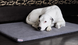 Orthopädische Hundebetten Orthopädische Hundebetten