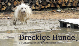 Geburtstagskalender / Buch Geburtstagskalender / Buch