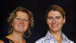 Wie piccobello-Hundewindeln entstand