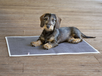 Kleine Inkontinenz-Auflage für Liegeplätze (70 x 50) 