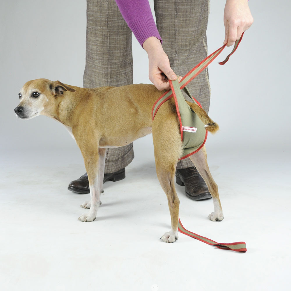 Waschbare Hundewindeln Für Hündinnen – 7 Stück, Saugstark & Auslaufsicher, Größe S Bis L, Mit Mikrofaser-Innenfutter